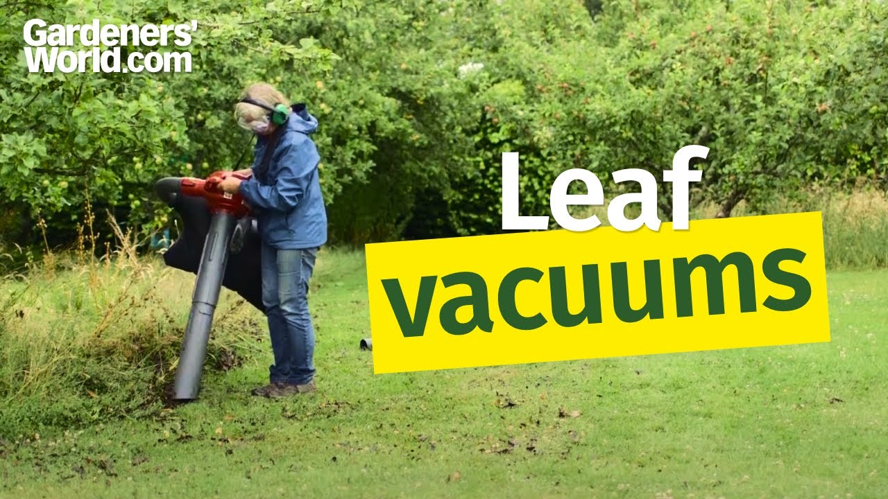 A buyer's guide to leaf blower/vacuums