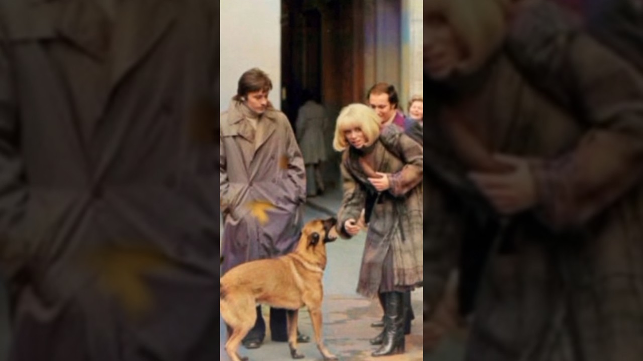 Alain DELON & Mireille DARC. Walking with dogs.