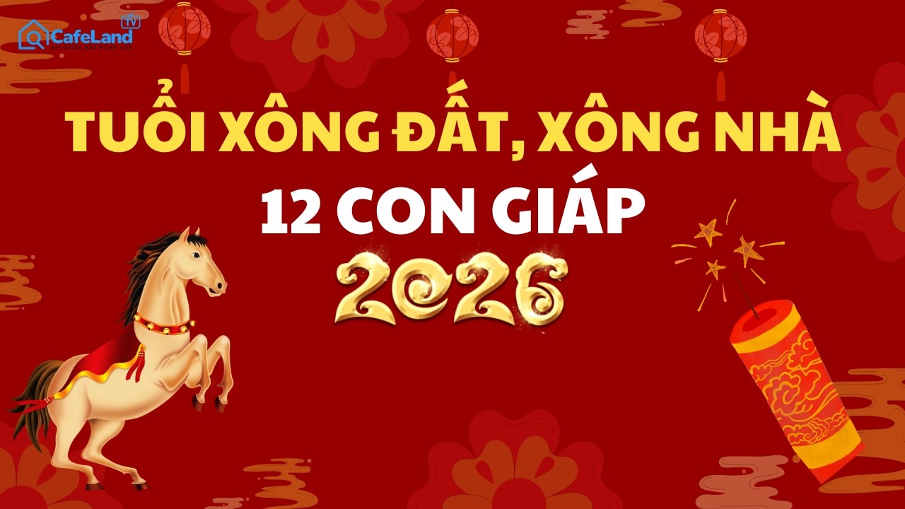 Top tuổi 