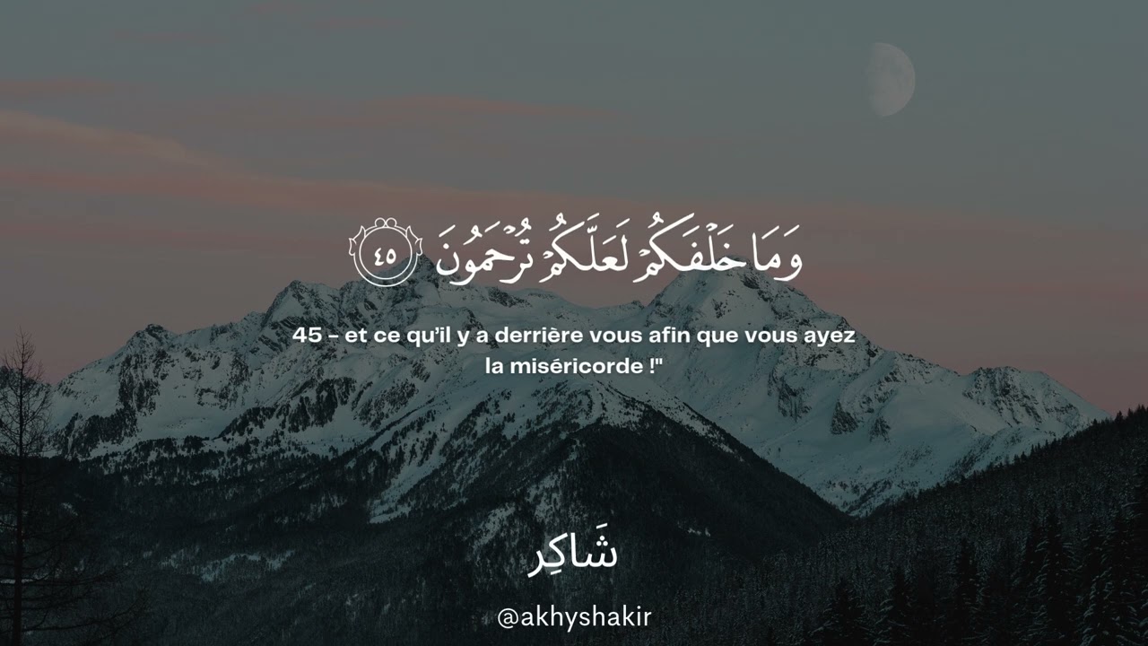 Sourate Yâ-Sîn | Mahdi Ash-Shishani سورة يس مهدي الشيشاني