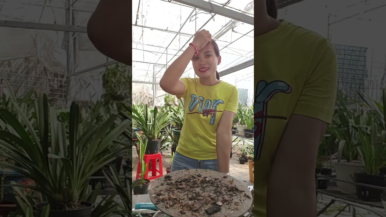 Khoảnh khắc nổi bật từ 1:30:55 đến 1:35:54 trong Khoa mai, tiên sơn, phan trí, xh,đỏ mỹ đẹp a 091659