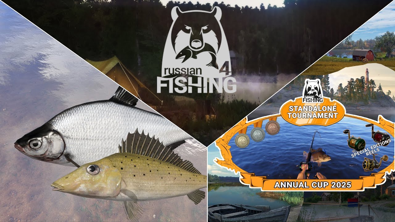 Der Rf4 Jahres-Cup 2025 - Don & Zope - Spots | Russian Fishing 4