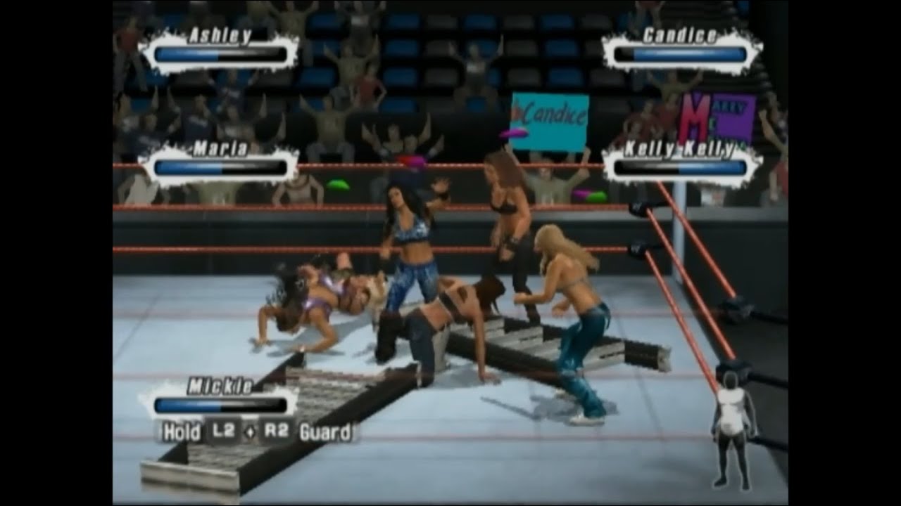 WWE SmackDown VS RAW 2009 (PLAYSTATION 2) 6 Women and One Vulunerable Suitcase