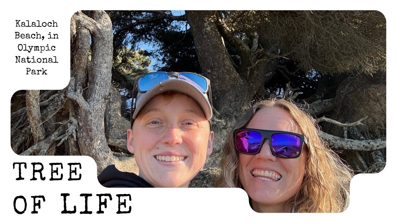 Exploring Kalaloch Beach and seeing the 