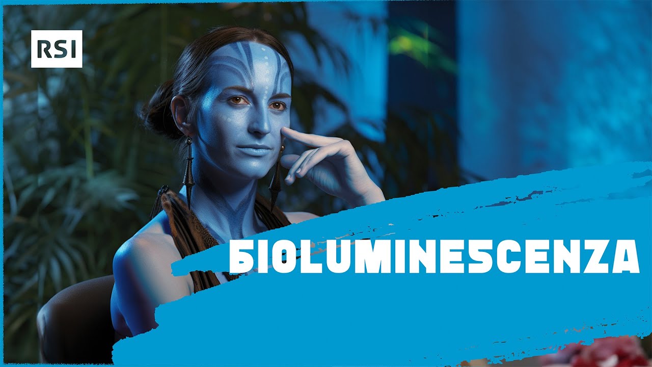 Cos'è la bioluminescenza? | Ambiente | RSI EDU