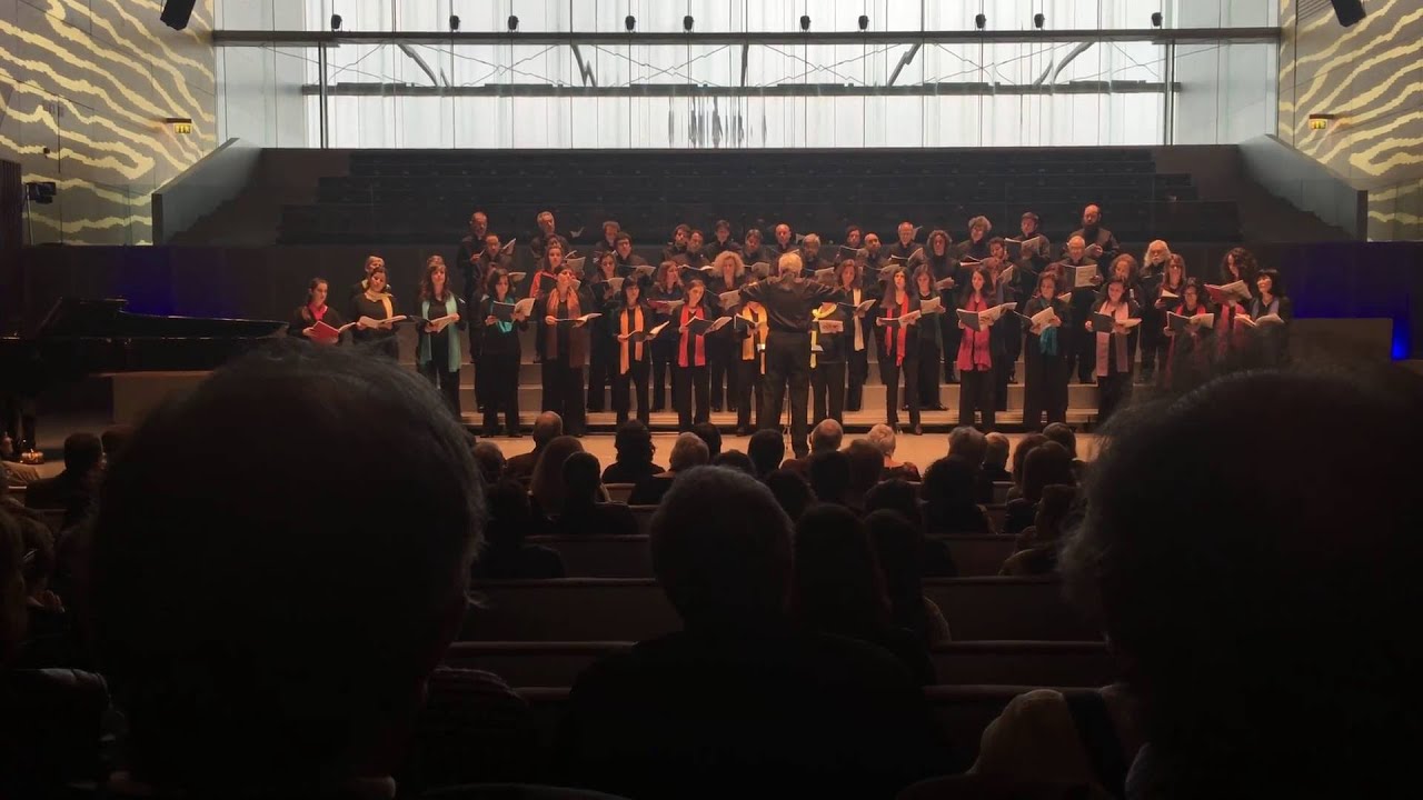 CINQUENTA ANOS [Coral de Letras da Universidade do Porto (Maestro Borges Coelho)]