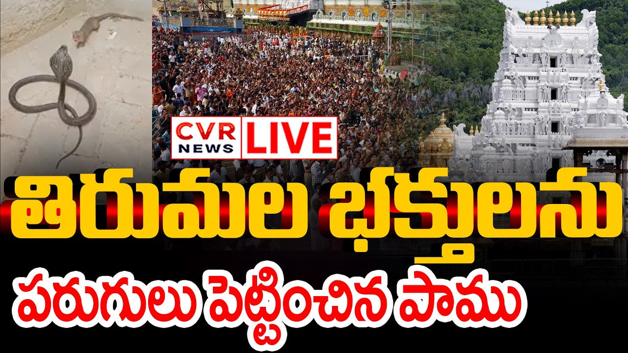 LIVE⭕-తిరుమల భక్తులను పరుగులు పెట్టించిన పాము | Snake Hulchul In Tirupati Temple | CVR News