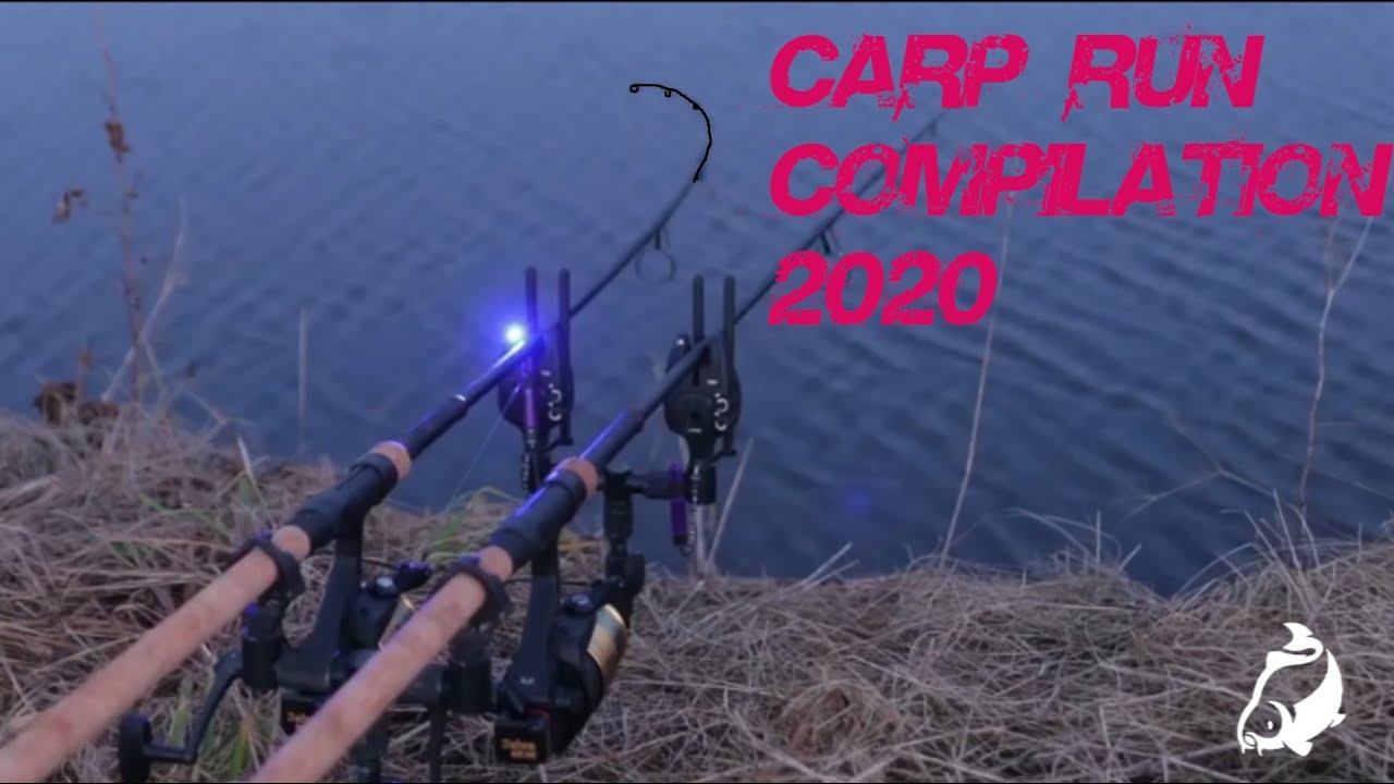 Carp Run COMPILATION 2020!