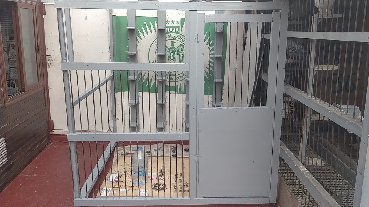 جديد لوفت عائلة 36🕊️🕊️🕊️👌👌👌مع وقفة على بعض مشاكل فترة الإنتاج🐣🐣فرجة ممتعة👀💚💪