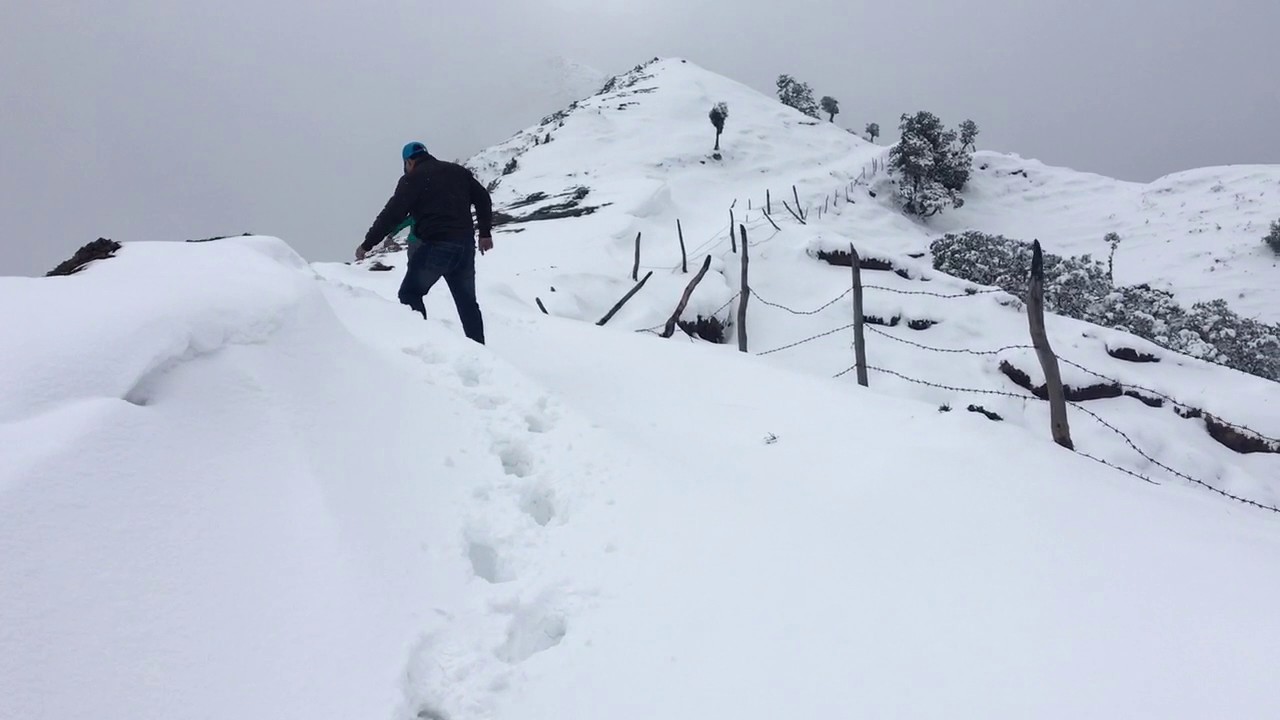 Tracking in snow at Haripurdhar Himachal Pradesh