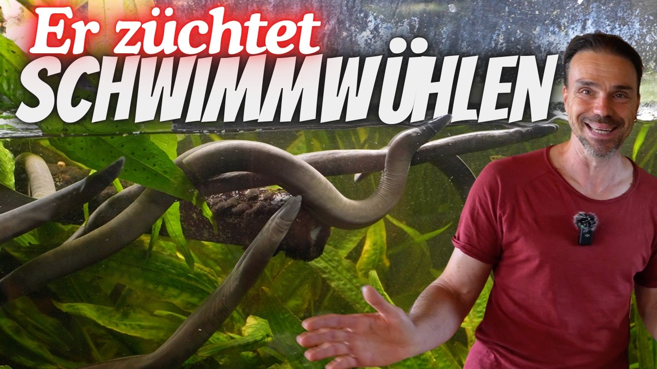 Faszinierende Tiere! Exklusive Einblicke in die Schwimmwühlen Zucht