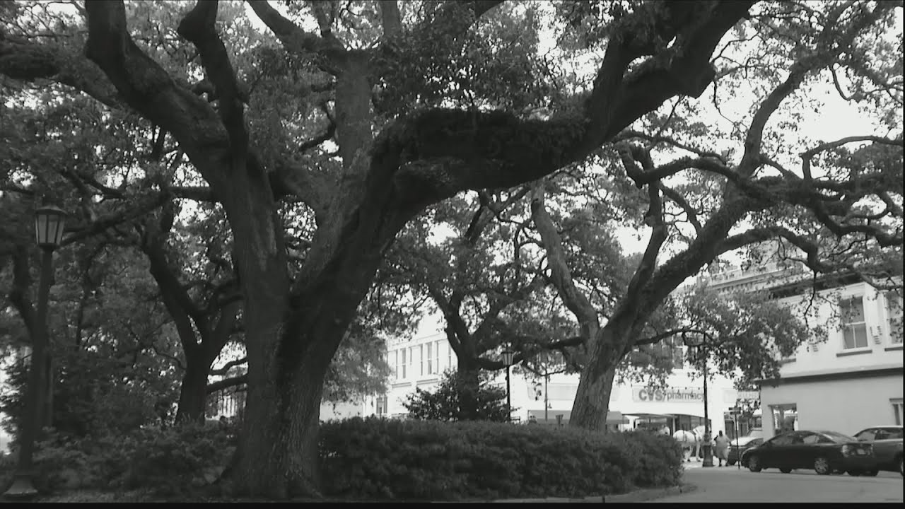 "Every day is Halloween in Savannah" company talks about ghost tours