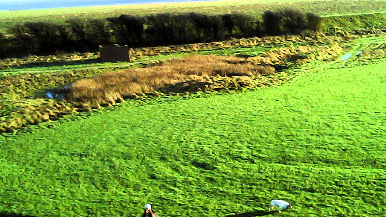 Syma Quadcopter at Flookburgh
