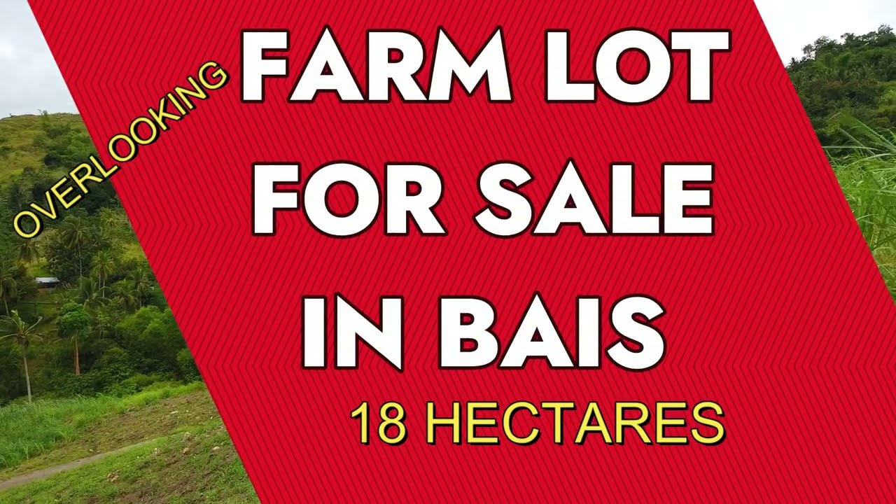 OVERLOOKING FARM LOT FOR SALE IN BAIS (18 HECTARES)