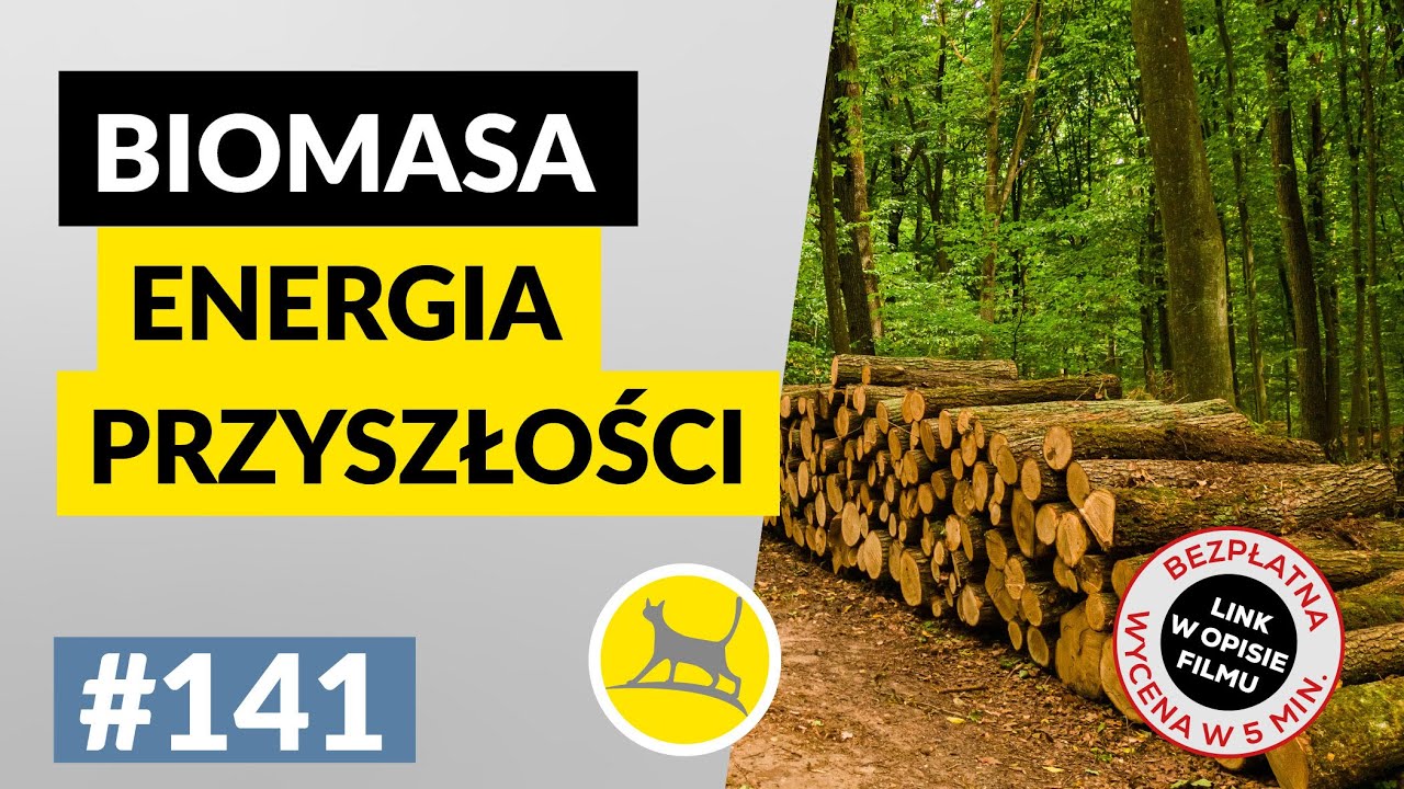 BIOMASA: ENERGIA PRZYSZŁOŚCI czyli dlaczego drewno jest odnawialnym źr&oacute;dłem energii ( OZE ) #141