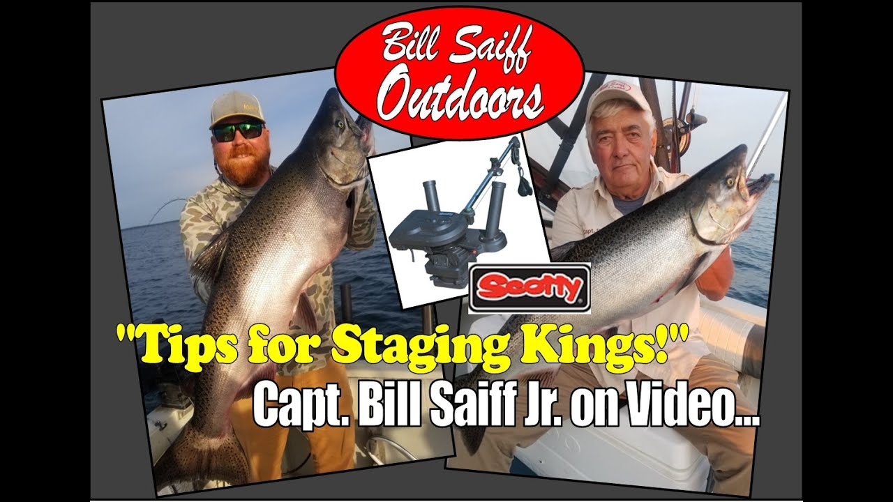 Tips for Staging King Salmon!