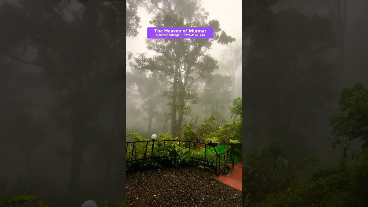 A Family Cottage in Munnar | The Heaven of Munnar | Munnar Home stay | Munnar Rooms