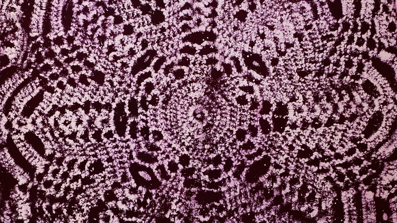 Using a doily on the gel plate | Monoprinting Day 16