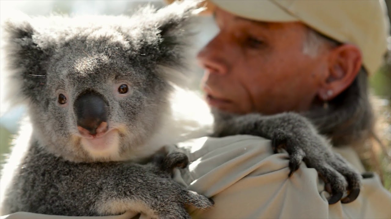 Destination NSW - Cruise Destination Video Eden