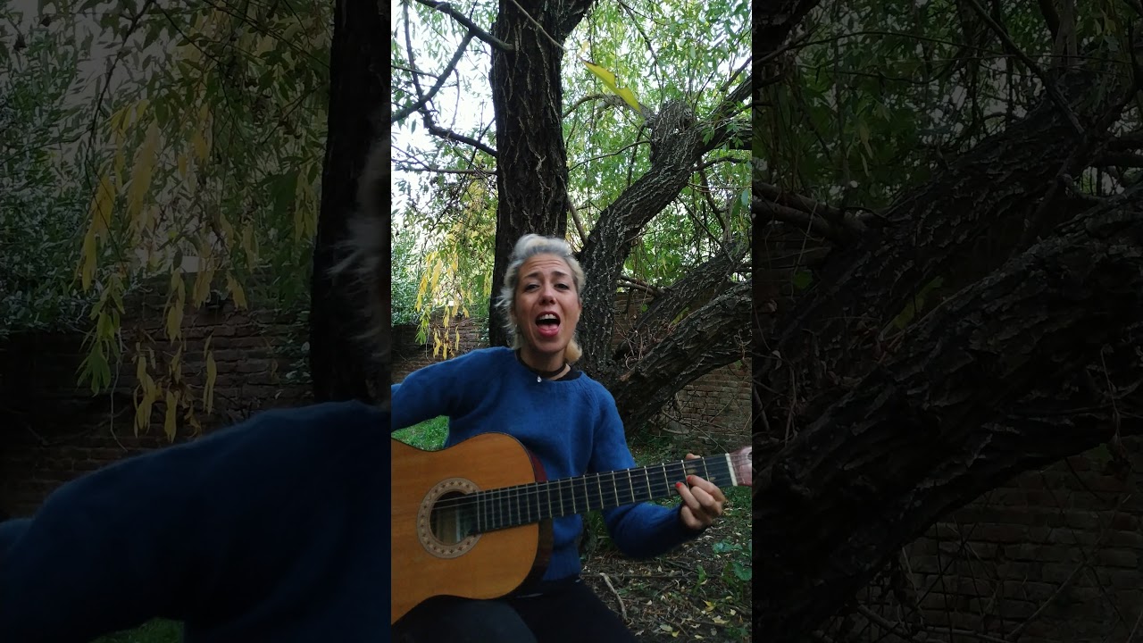 Una canción diferente, de Celeste Carballo