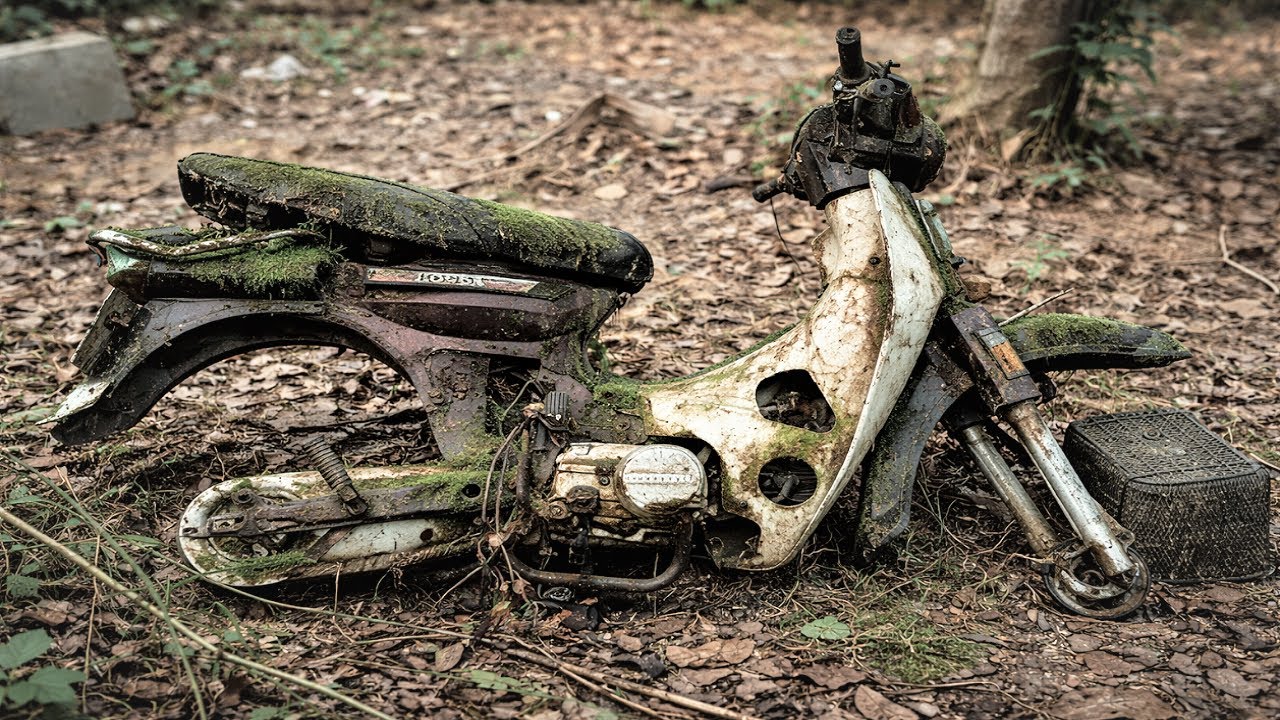 Restoring An Abandoned Classic Honda Dream, Severely Damaged, Rusted, And Moss Covered Over Years