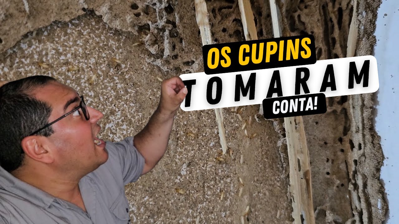 Descupinização na Casa da Mayara - Acabar com Cupim de Solo | Gabriel Ambiental