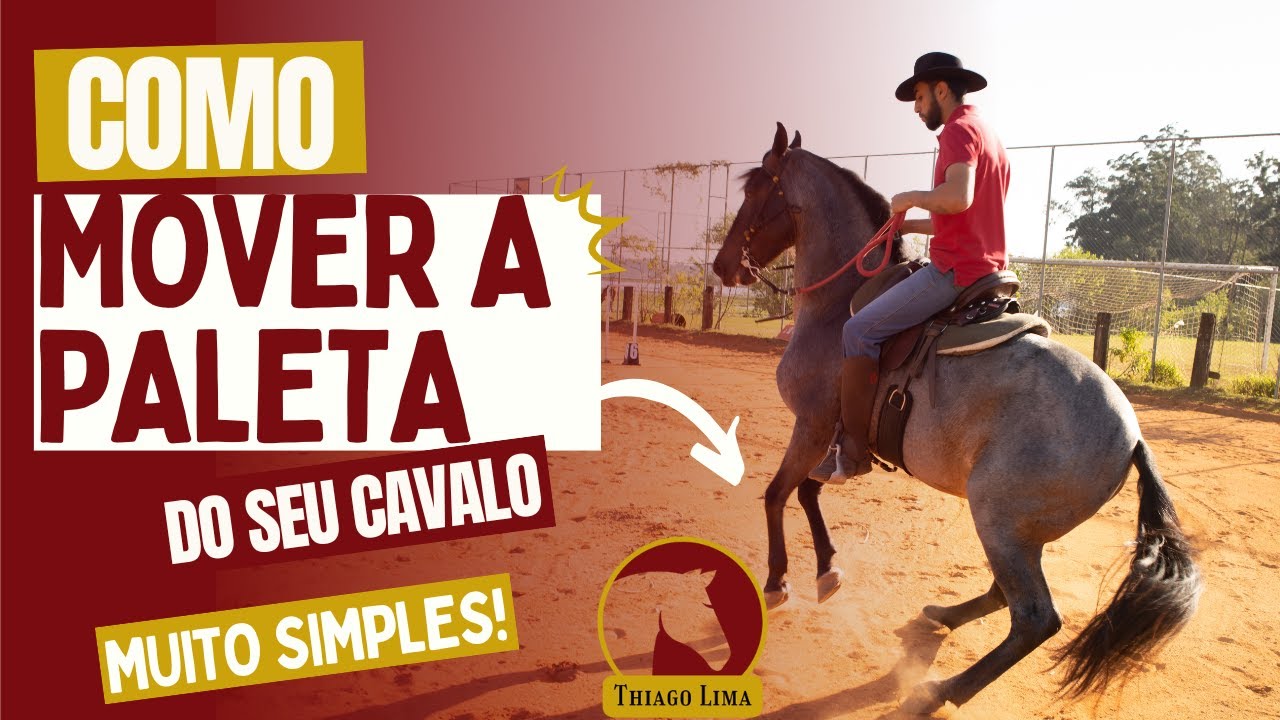 Como mover a paleta do seu cavalo?
