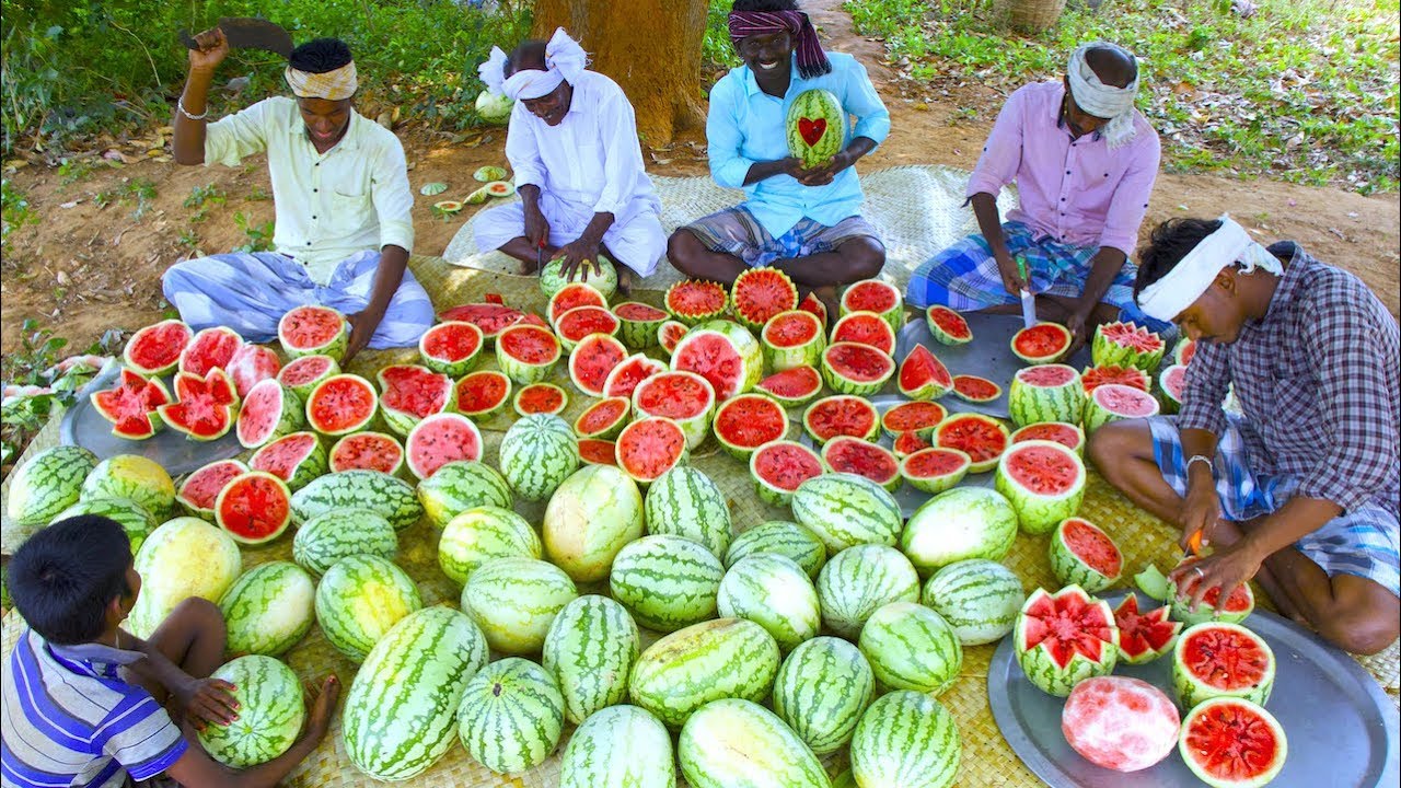 500 KG WATERMELON | Summer Health Drinks | WaterMelon Juice from Farm Fresh Fruits | Village Cooking