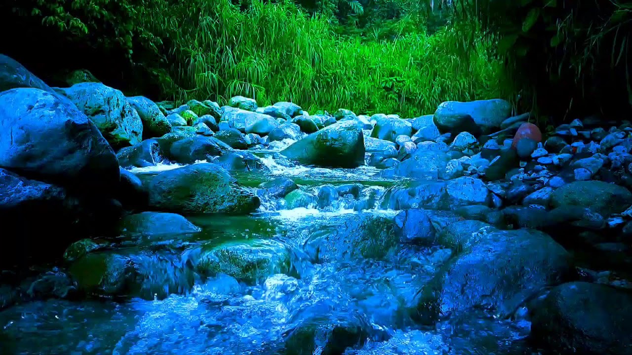 🍃 Gentle Riverside Flow ASMR Sounds for Deep Sleep, Relaxation & Calm Focus