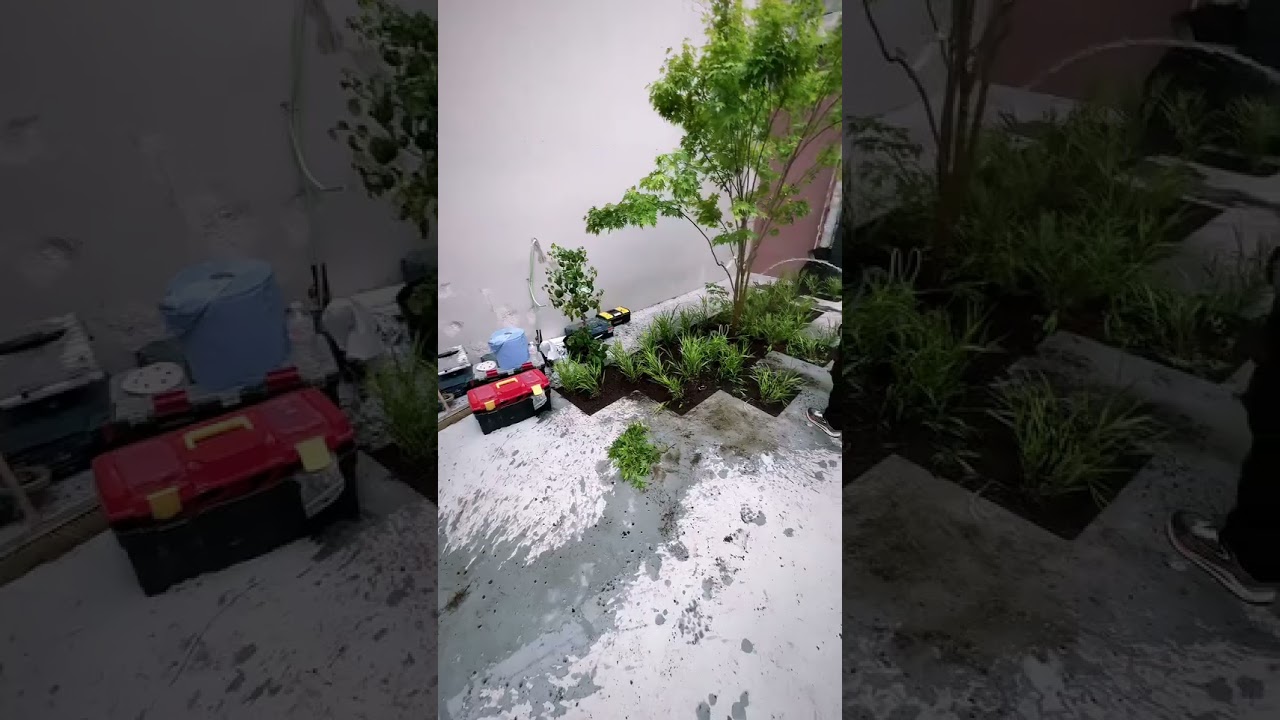 Am&eacute;nagement d'un petit jardin de ville &agrave; Bruxelles