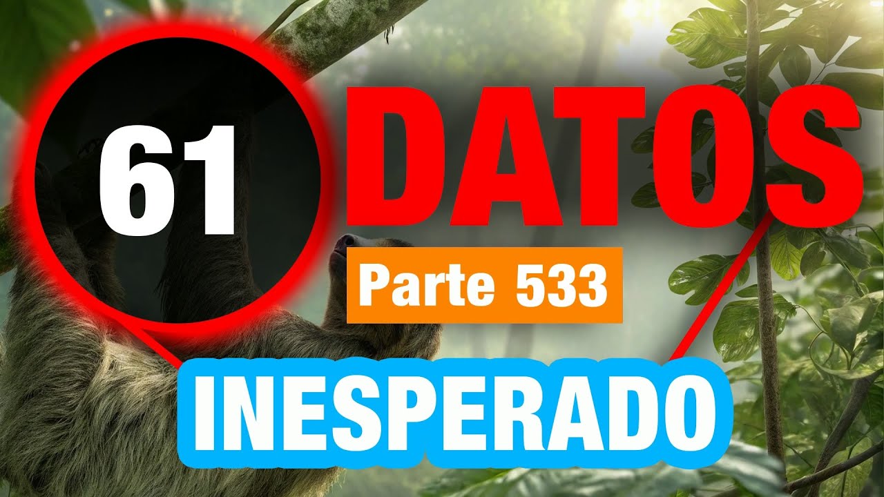61 Datos Inesperados