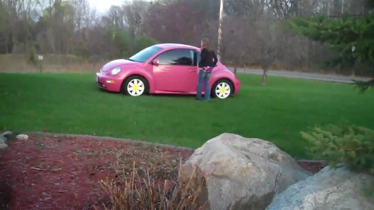 Pink Beetle Present