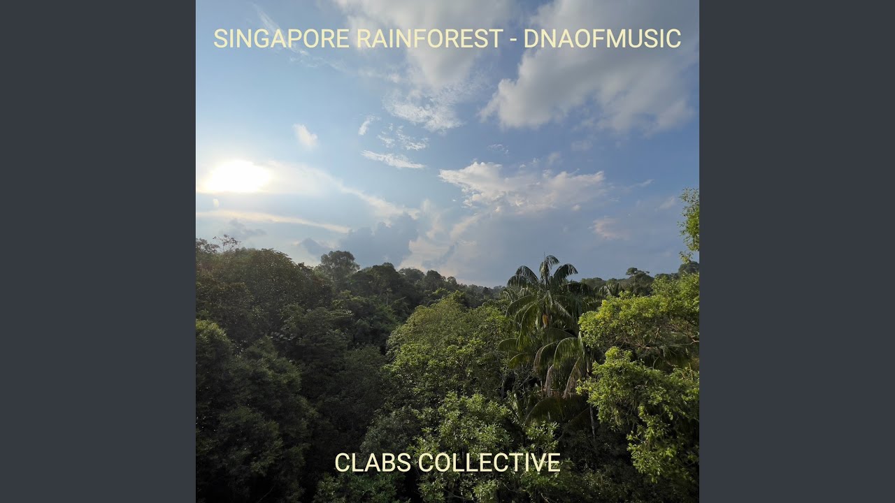 Quantula Striata by Mario Spada | DNAofMusic for Eth BiodivX - Xprize Rainforest Singapore 2023