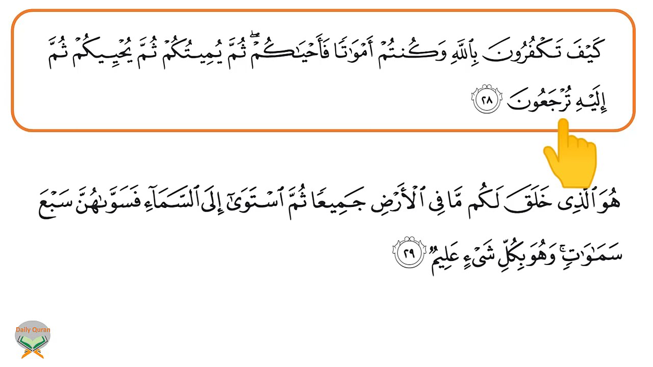 Lesson 7 | Surah Al baqarah verse 26 - 30 | Quran Tajweed | Daily Quran | Tajweed Rules