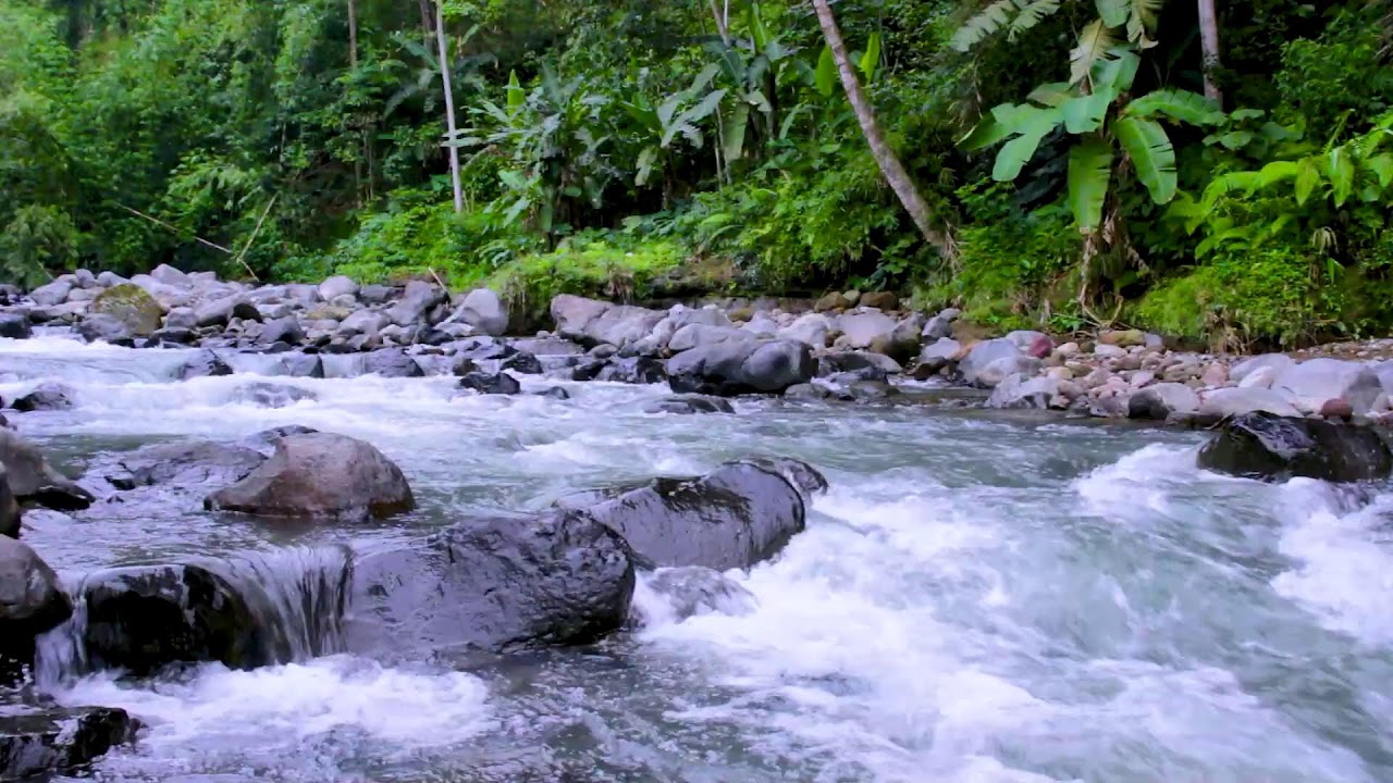Mountain River Peaceful Waters | Relaxing Nature White Noise for Calm Mind