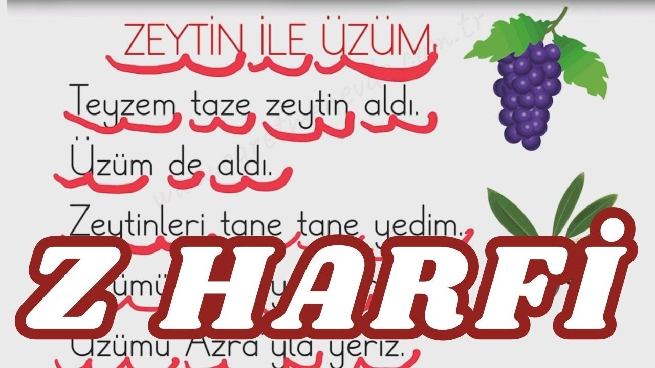 Z Harfi ile İlgili Okuma Yazma Yapıyoruz 1. Sınıf