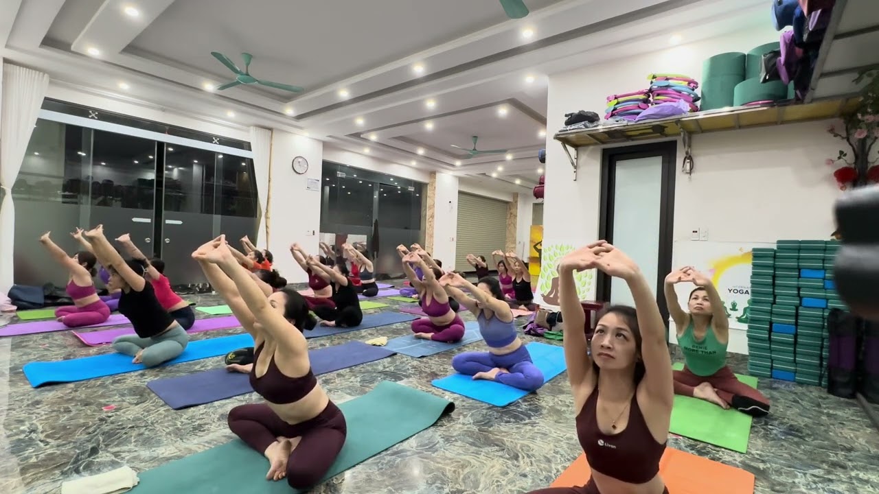 🕉️ Yoga cho người mới , mềm cơ , dẻo khớp , giãn cơ toàn thân . Giảm mỡ bụng