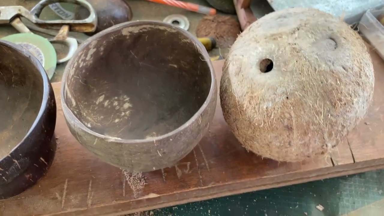 Plant pot from coconut shell /ചിരട്ട കൊണ്ടുള്ള ചെറിയ ചെടി ചട്ടികൾ
