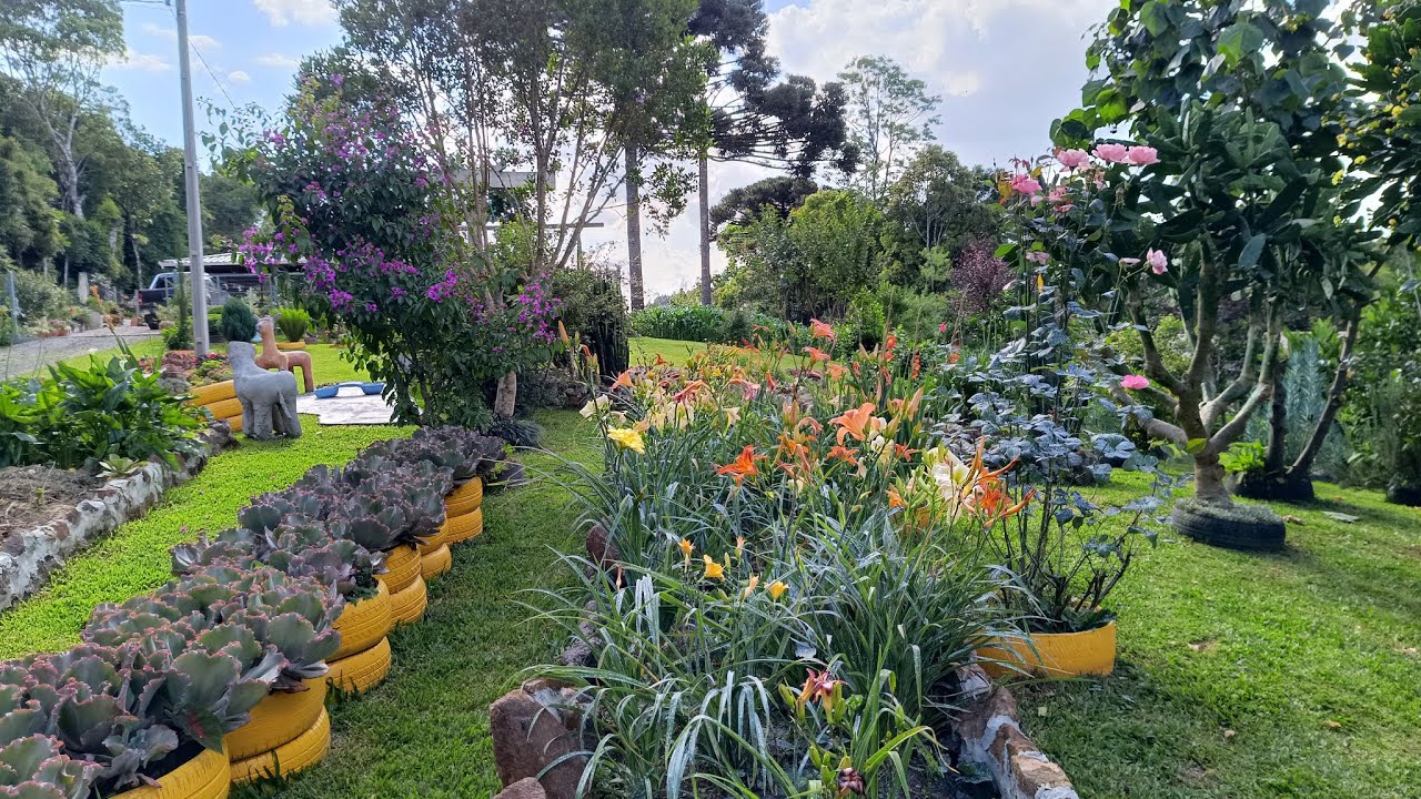 Cortamos a grama, e estamos deixando o jardim cada vez melhor! E grata surpresa!