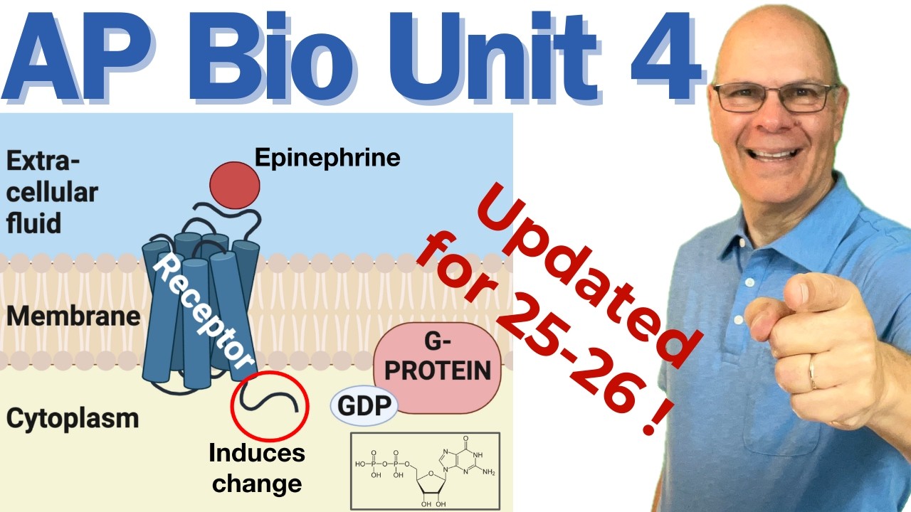 Сокрушительный AP Bio Unit 4! Клеточная коммуникация, обратная связь и клеточный цикл (обновлено ...