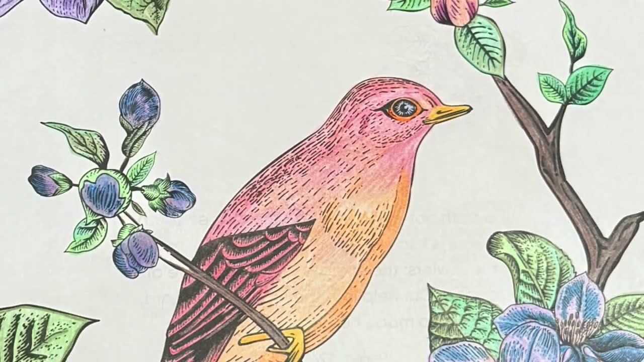 Coloring from Color & Pray book