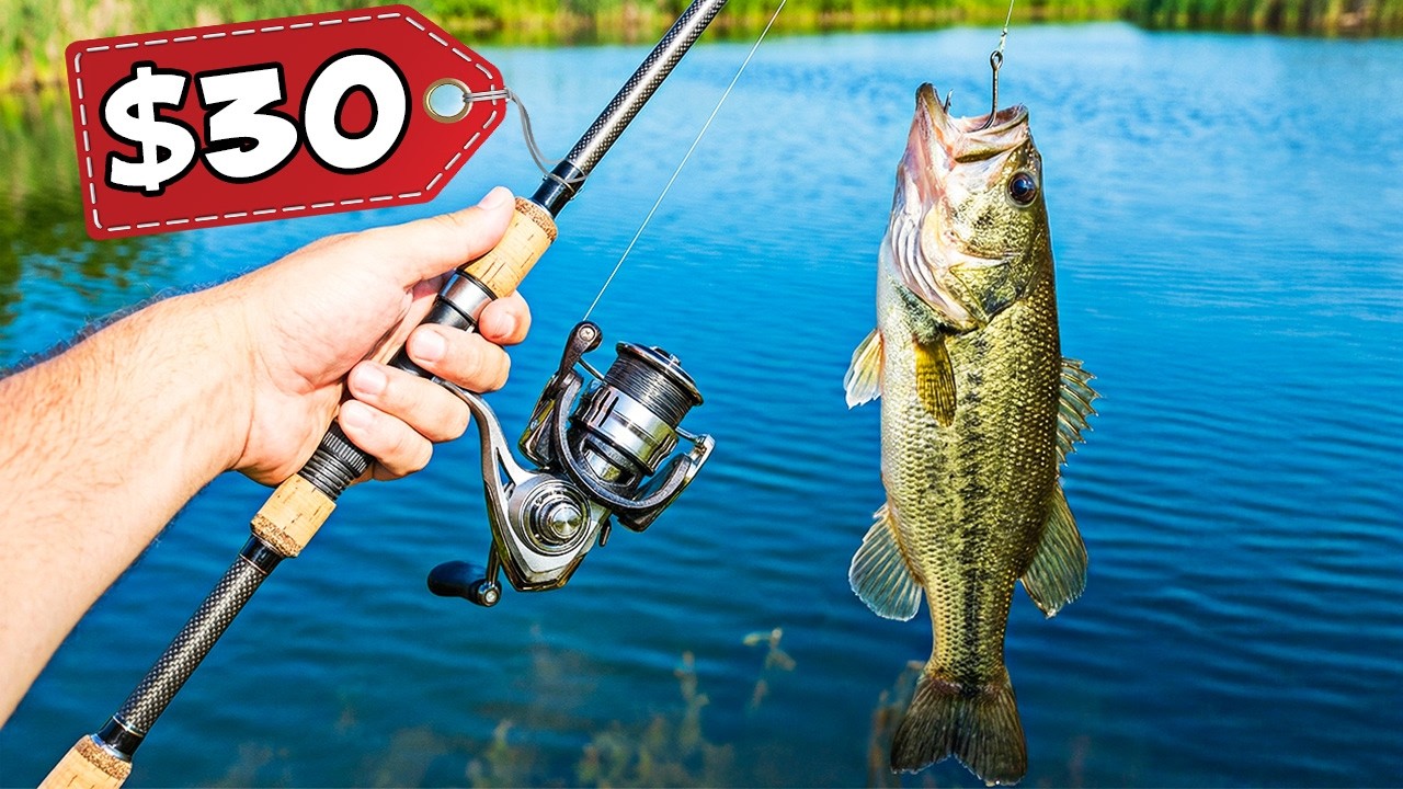 10 Cheap Fishing Rods That Will Help You Catch 3 Times More Fish