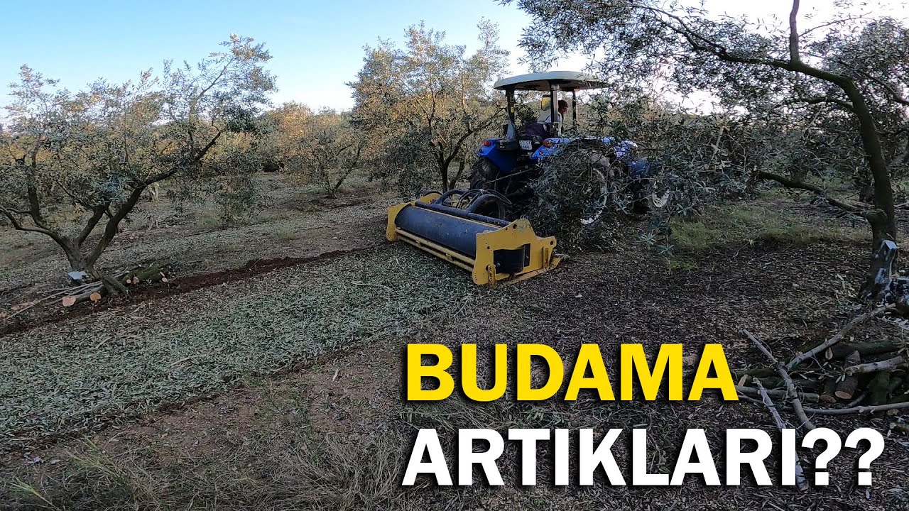 Yurdusar 210 Dal Kırma Makinesi İle Zeytin Dalı Kırıyoruz