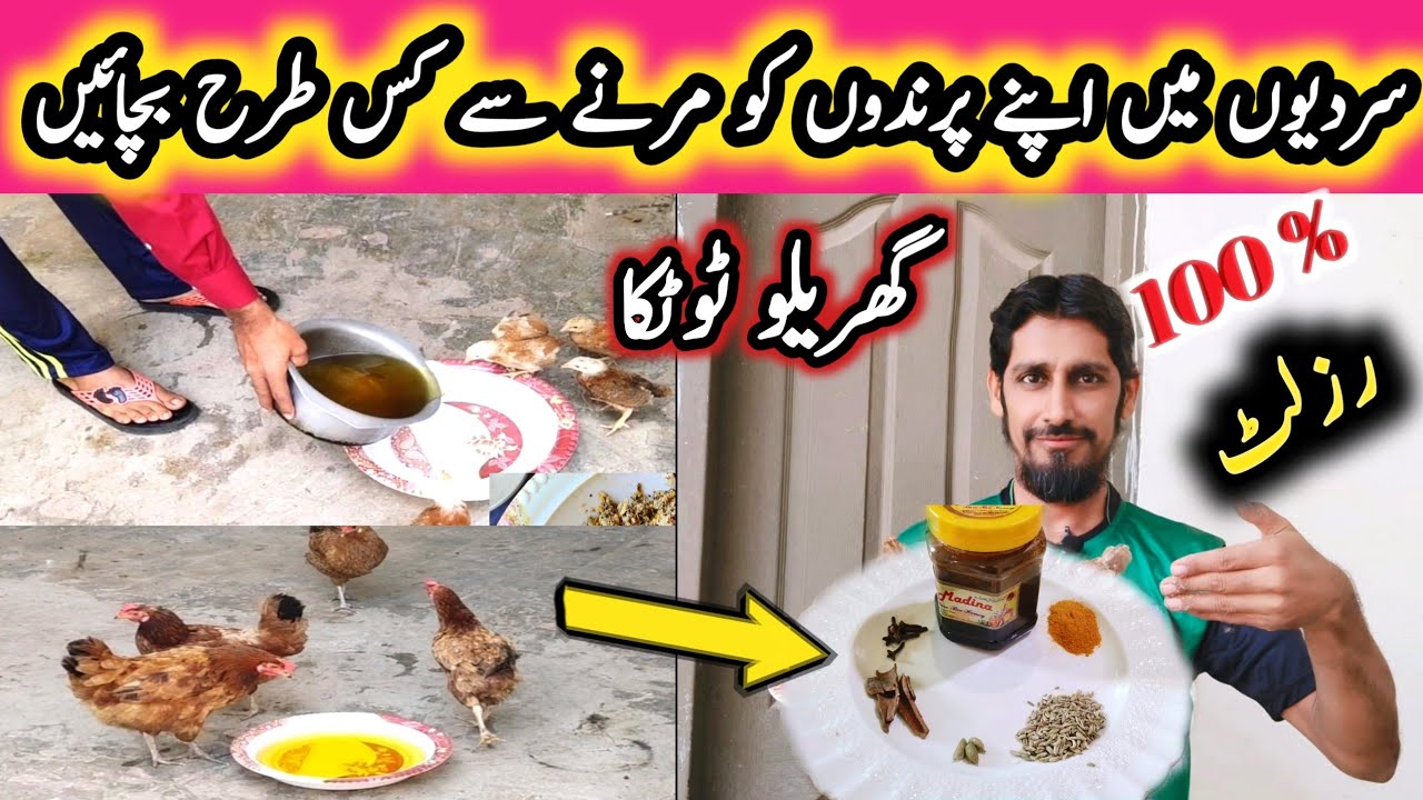 How to get your birds to use water in winter || MBS Vlogers.