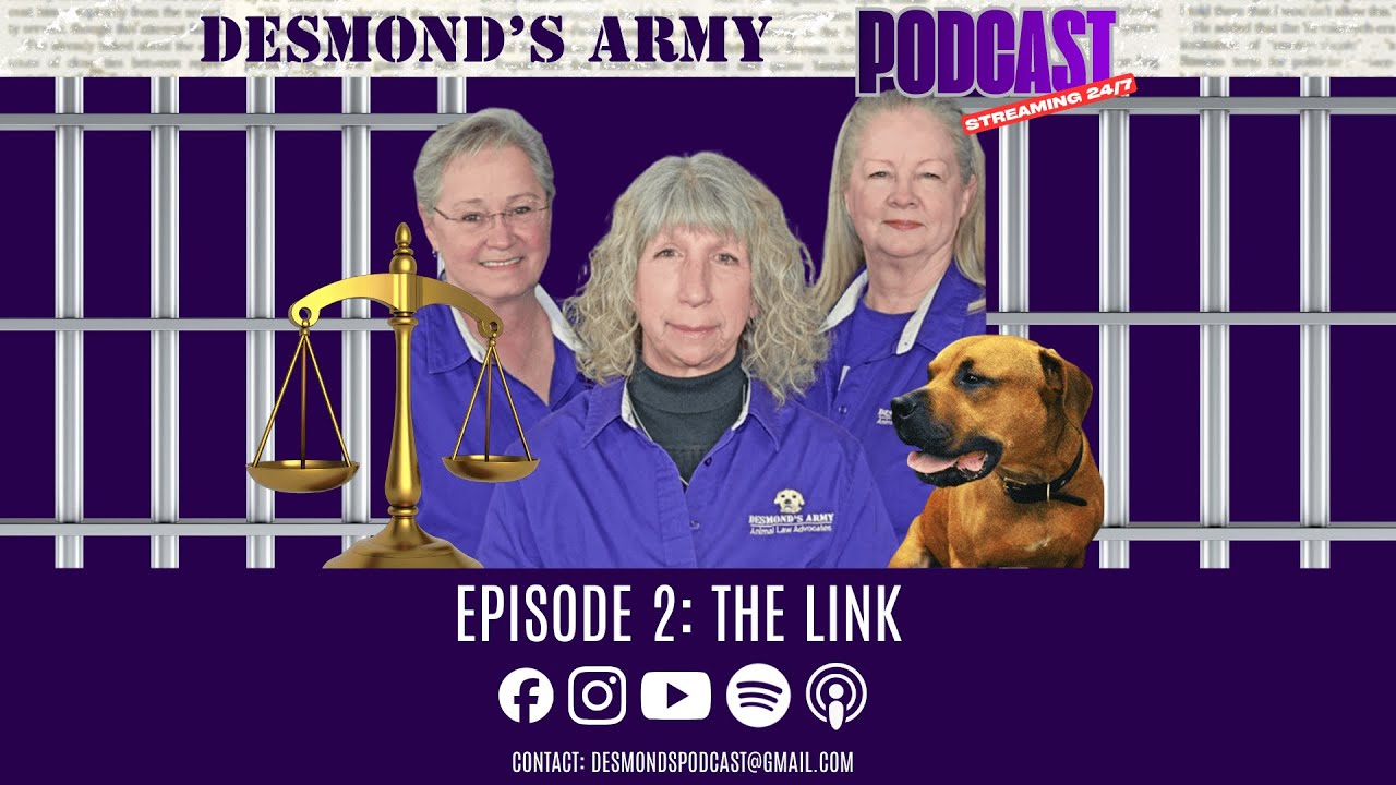 EPISODE 2: The Link