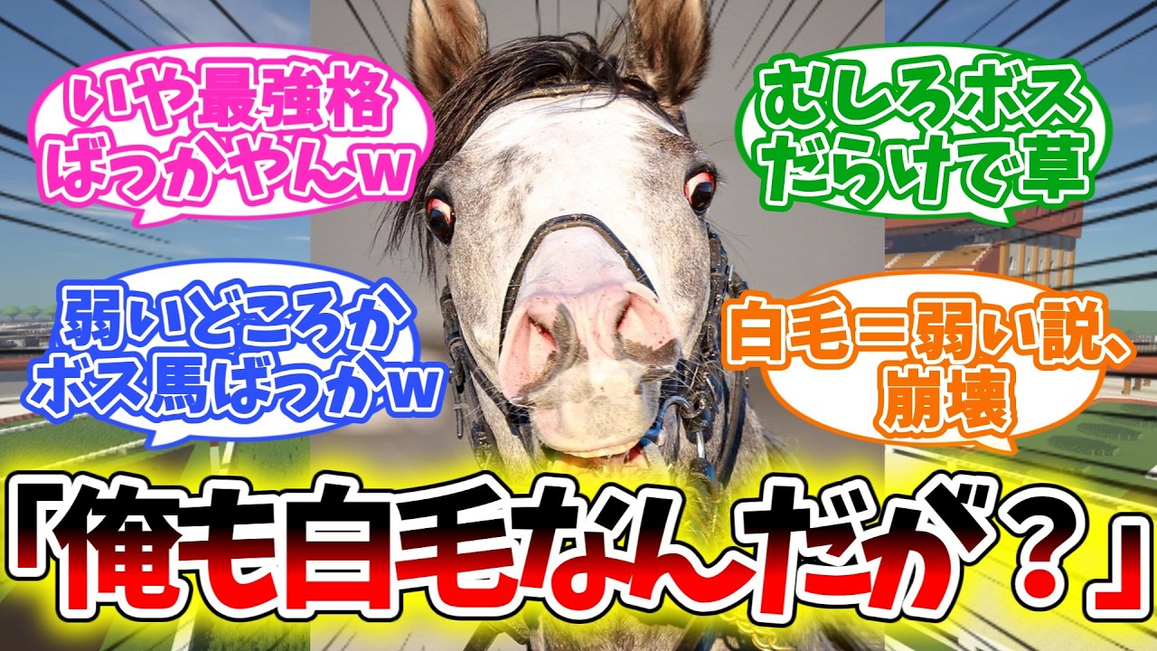 「白毛の馬、いじめられるってマジ？」【競馬】