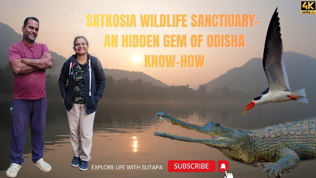Satkosia Tiger Reserve: A hidden gem of Odisha | Everything you need to Know | Tikarpada