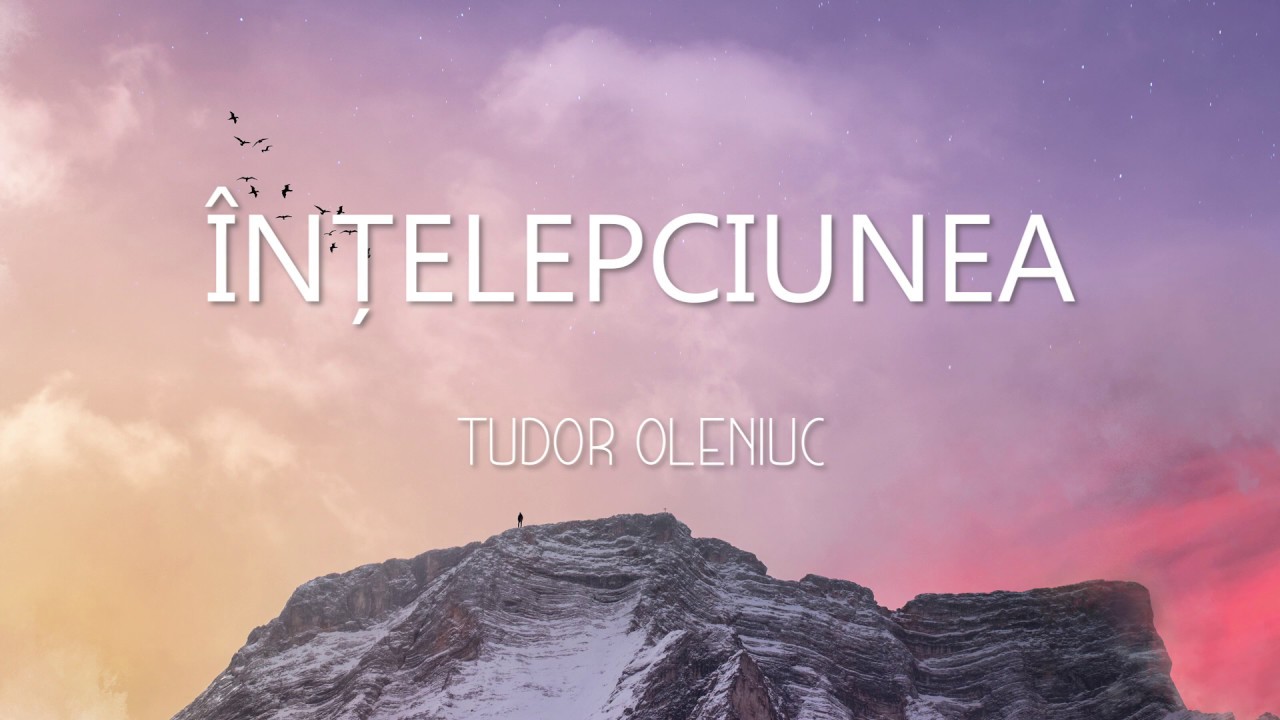 &Icirc;nțelepciunea - Tudor Oleniuc (Official audio)