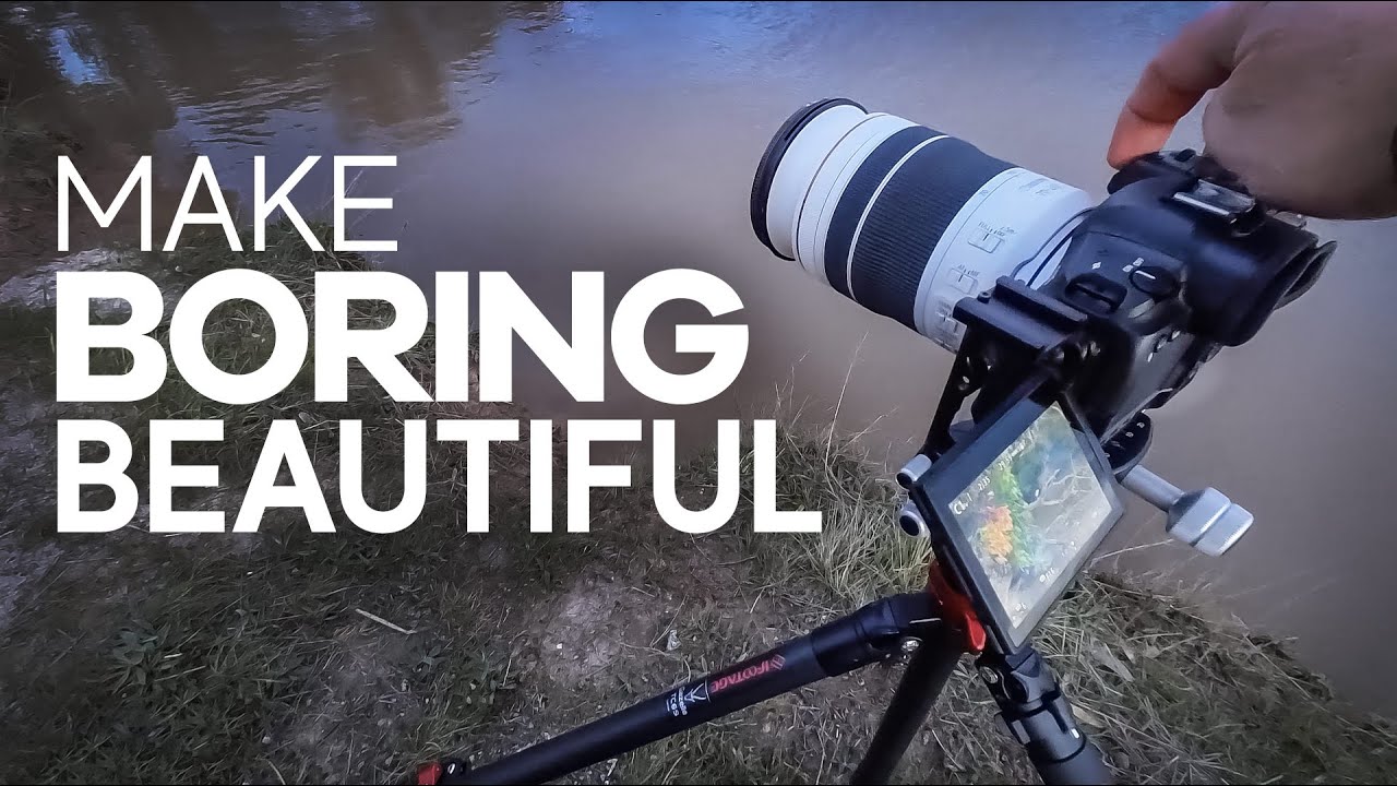 Make a BORING Landscape BEAUTIFUL