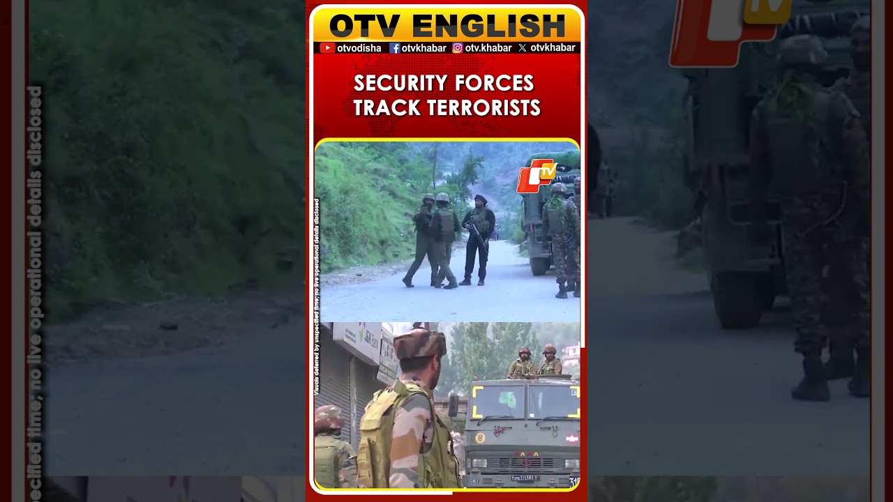 Army, J&K Police and CRPF Search For Terrorists In Rajouri